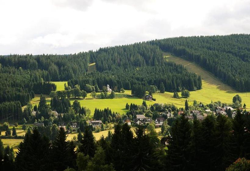 Отель Haus Feldbergfalkau