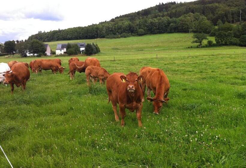 호텔 Müllisch S Hof