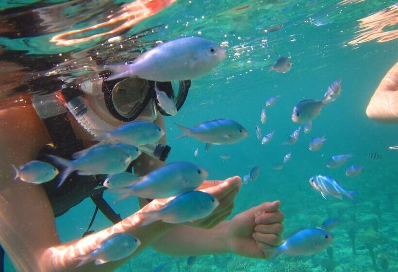 هتل Low Cost Resort Manza Beach