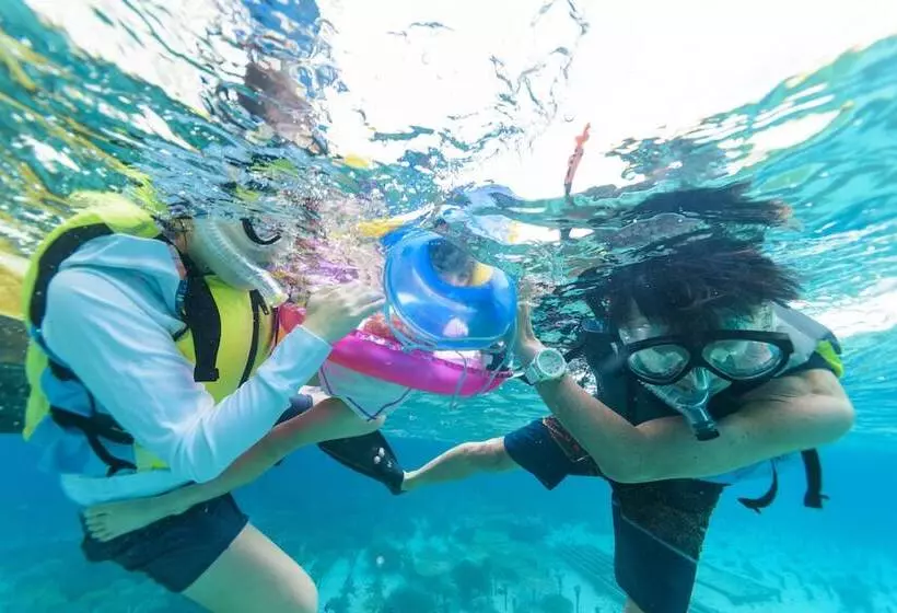 ホテル Low Cost Resort Manza Beach