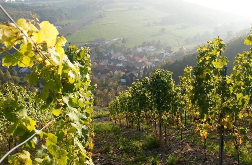 ホテル Weingut Hees   Landgasthof Zum Jäger Aus Kurpfalz