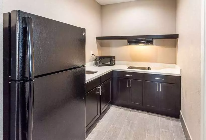 モーテル Econo Lodge Inn & Suites Houston Nwcyfair