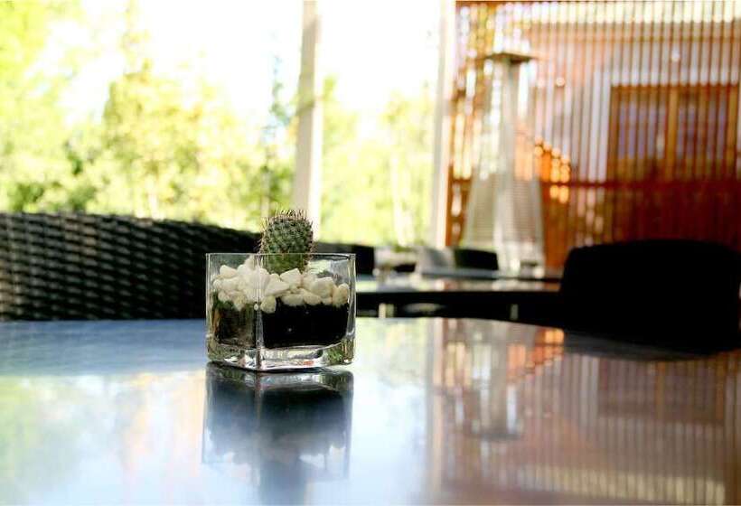 פנסיון The Gallery