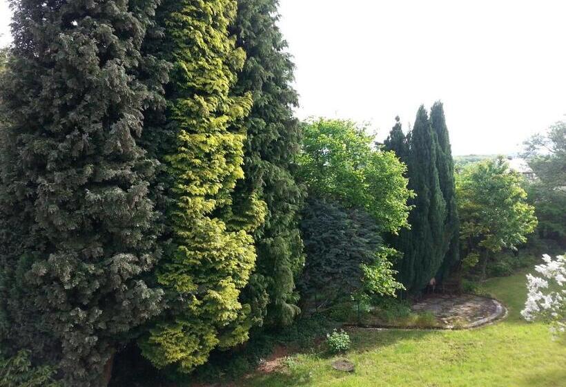 Westerwaldhotel Dernbach