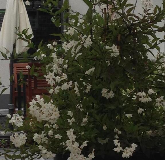 Wohnraum Hotel & Gästehaus