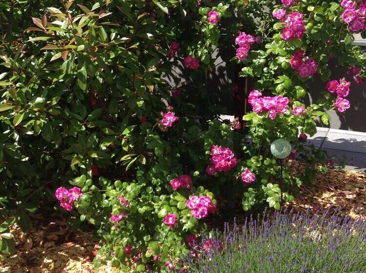 Wohnraum Hotel & Gästehaus