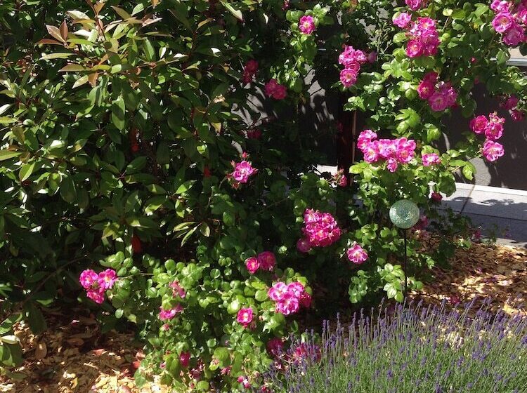 Wohnraum Hotel & Gästehaus