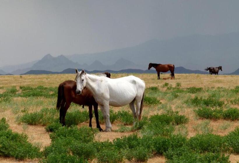 فندق صغير Uhum Guesthouse Nuratau Mountain