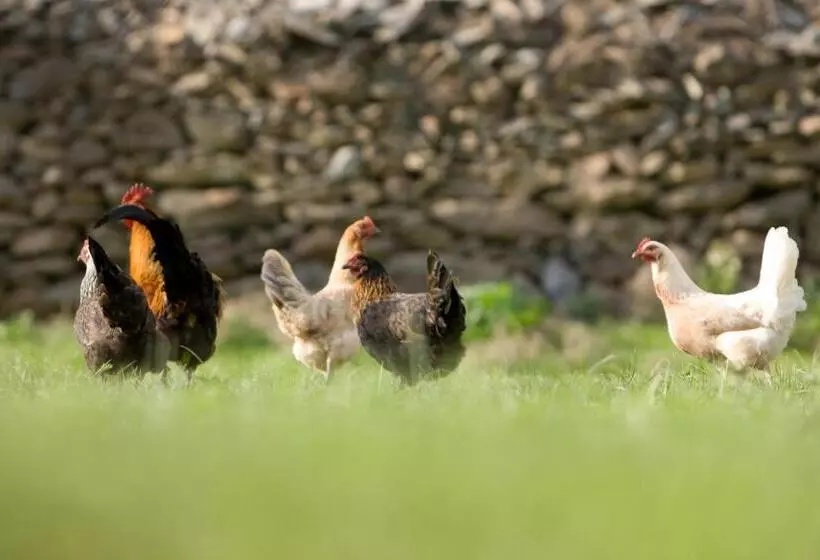 Retkeilymaja Uhum Guesthouse Nuratau Mountain