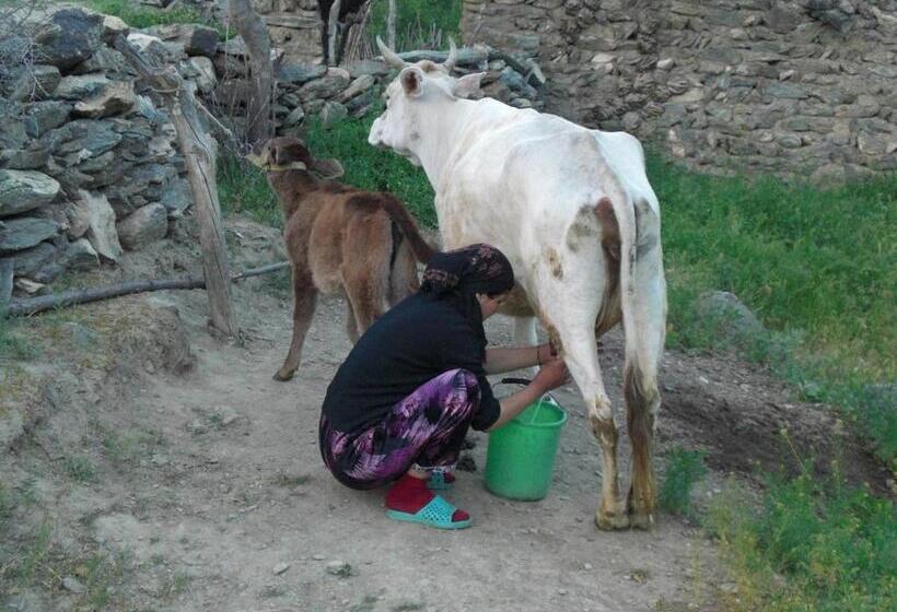 فندق صغير Uhum Guesthouse Nuratau Mountain