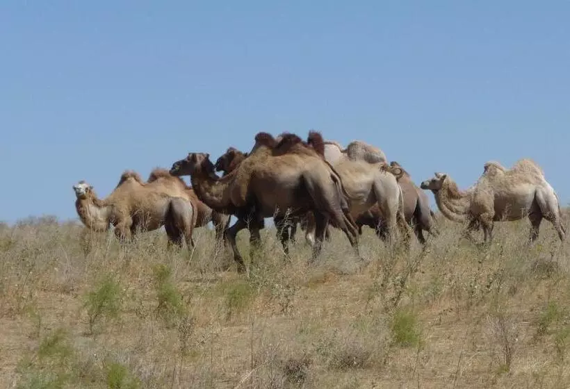 Retkeilymaja Uhum Guesthouse Nuratau Mountain