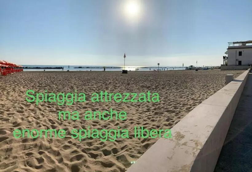 B&b Falcone