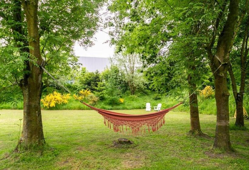 צימר Filion S Place