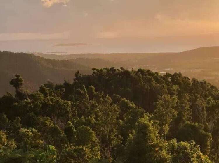 تختخواب و صبحانه Serenity Rainforest Retreat