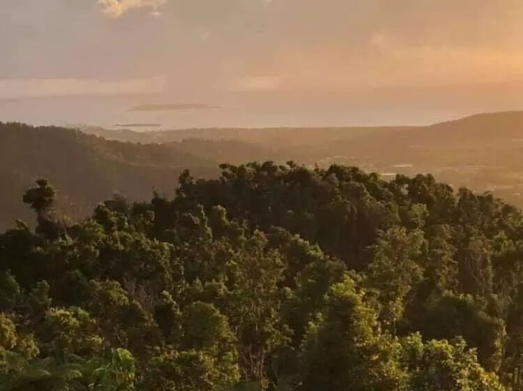 تختخواب و صبحانه Serenity Rainforest Retreat