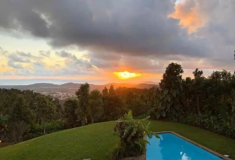 تختخواب و صبحانه Serenity Rainforest Retreat