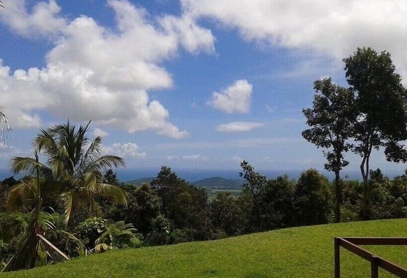 تختخواب و صبحانه Serenity Rainforest Retreat