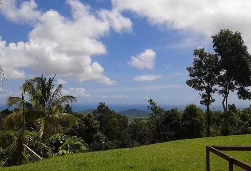 تختخواب و صبحانه Serenity Rainforest Retreat