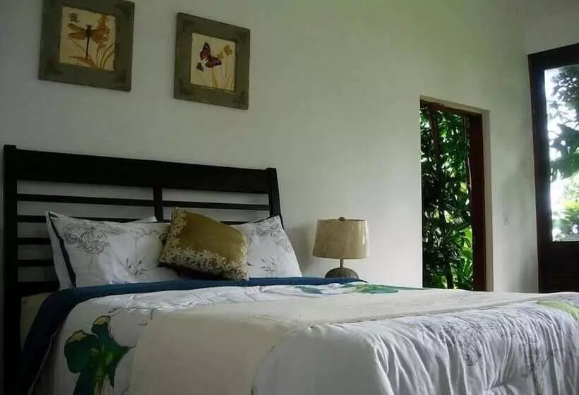 تختخواب و صبحانه Serenity Rainforest Retreat