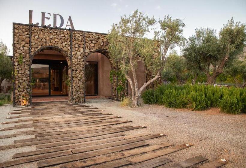 Отель Andana Winery & Spa