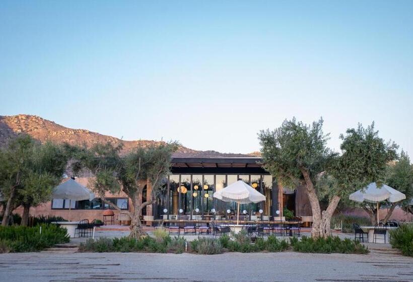 Отель Andana Winery & Spa