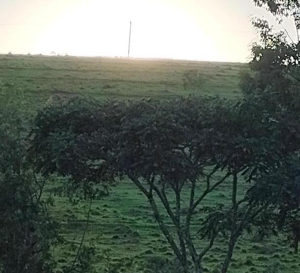 ホテル Pousada Vida Feliz