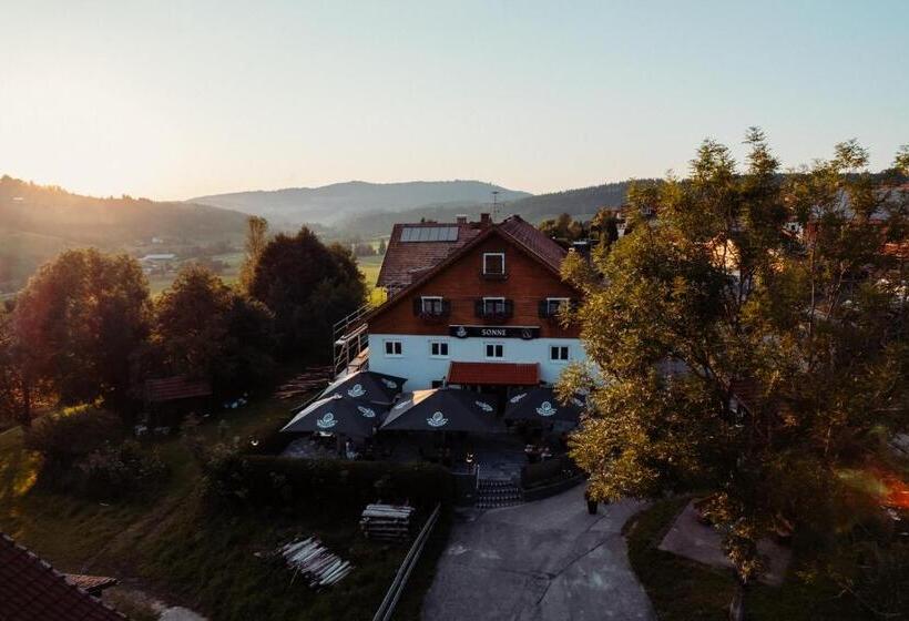 هتل Sonne Wilhams