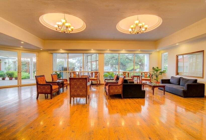 בית מלון כפרי Timber Trail Resort