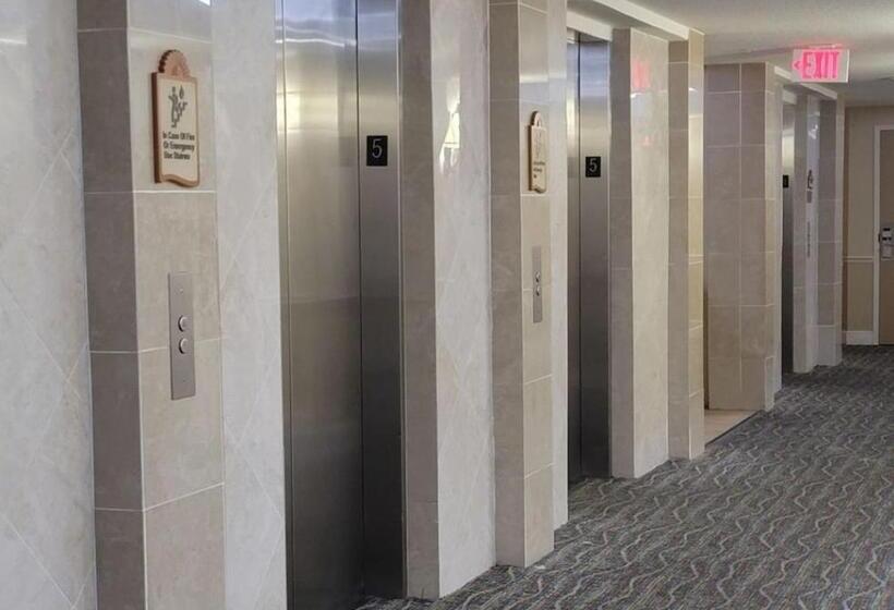 Stay On The Beach! Wonderful Location!