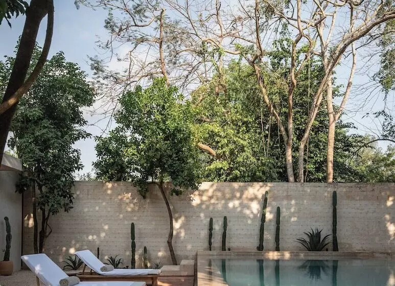 Cedros Hotel Boutique