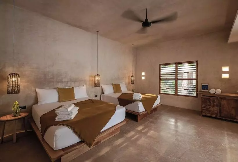 Cedros Hotel Boutique