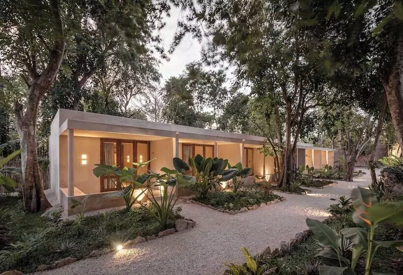 Cedros Hotel Boutique