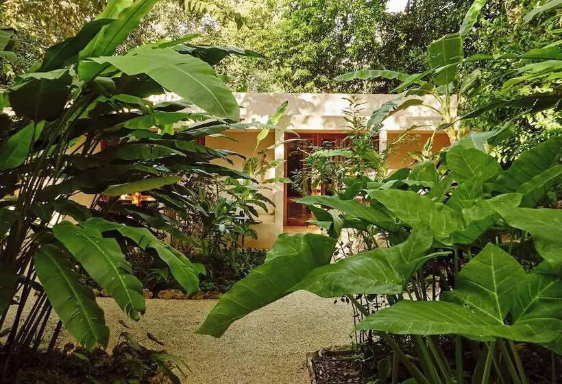 Cedros Hotel Boutique