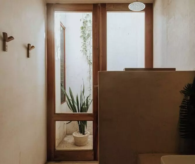 Cedros Hotel Boutique