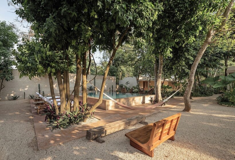 Cedros Hotel Boutique