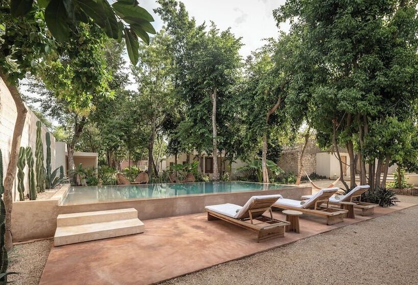 Cedros Hotel Boutique