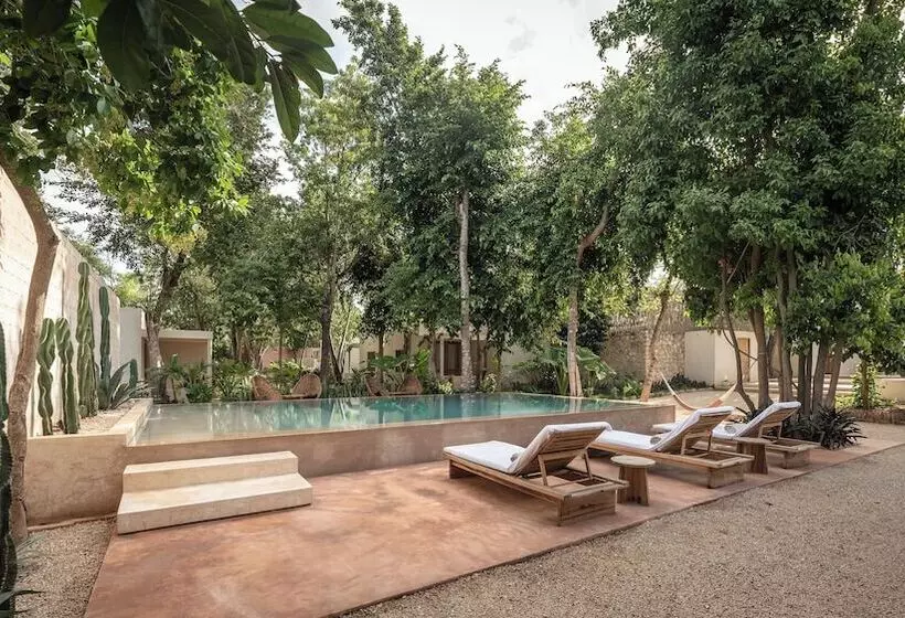 Cedros Hotel Boutique