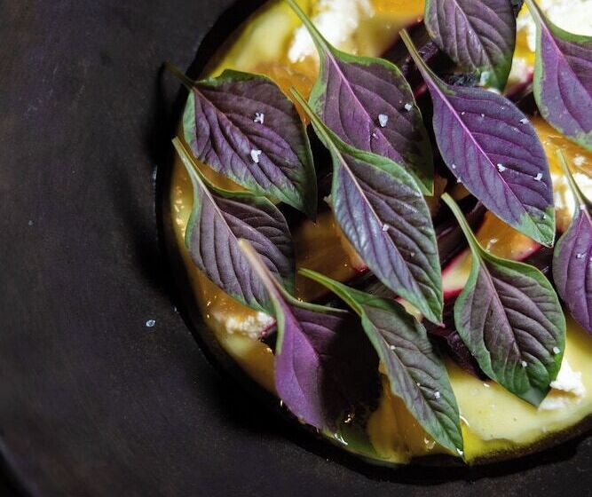 Cedros Hotel Boutique