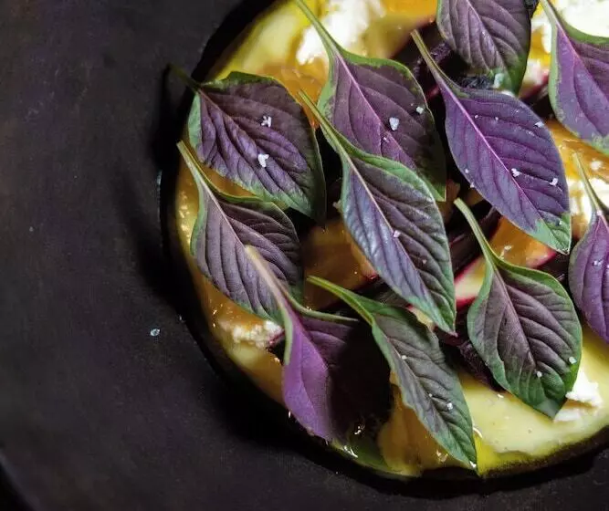 Cedros Hotel Boutique