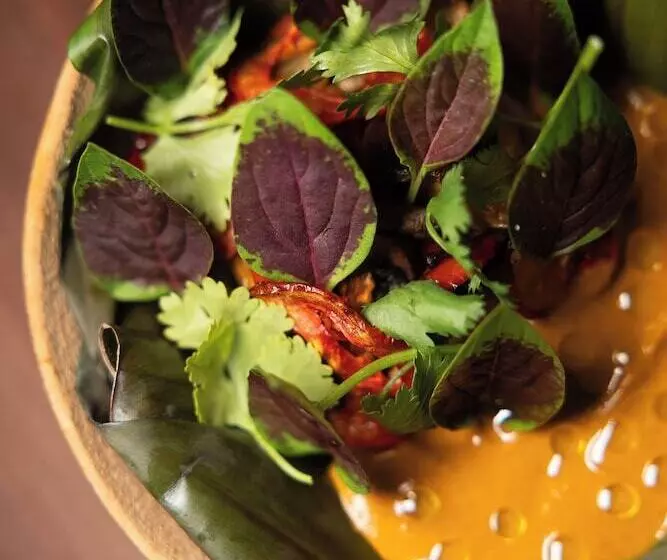 Cedros Hotel Boutique