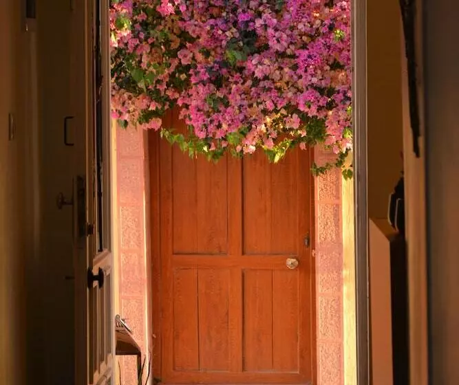 Aamiaismajoitus (B&B) Gaja Ayvalık