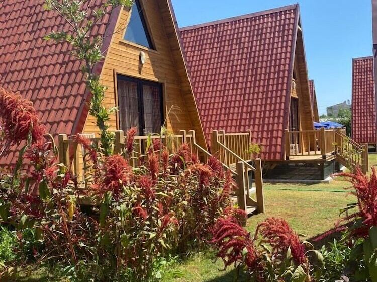 تختخواب و صبحانه Noel Bungalov Cafe