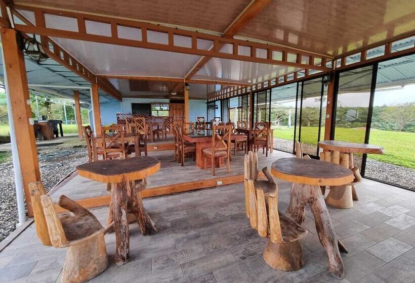 Отель Bird Of Paradise