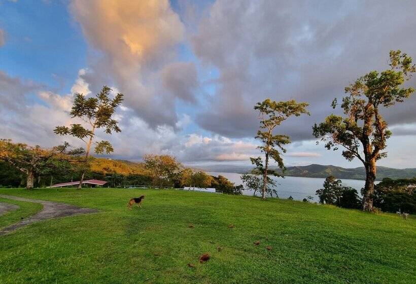 Отель Bird Of Paradise