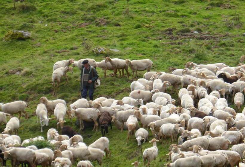 צימר Bedbreakfastbikespyrenees