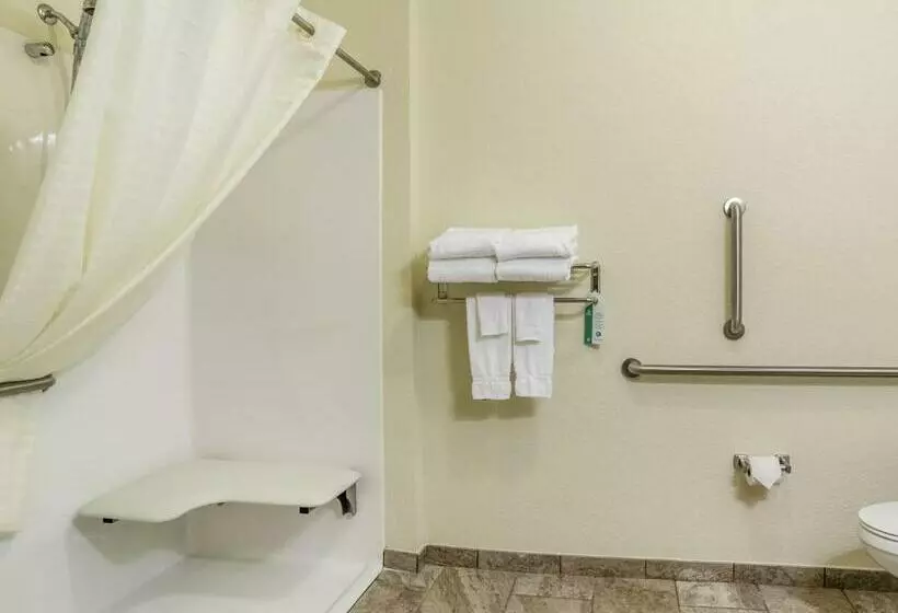 Cobblestone Hotel & Suites   Erie