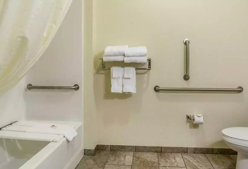 Cobblestone Hotel & Suites   Erie