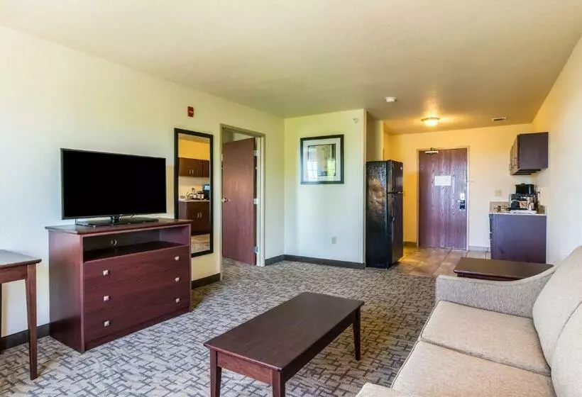 Cobblestone Hotel & Suites   Erie