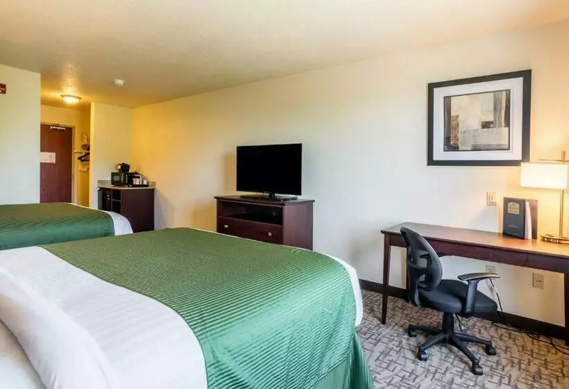 Cobblestone Hotel & Suites   Erie