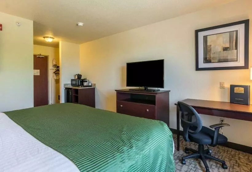 Cobblestone Hotel & Suites   Erie